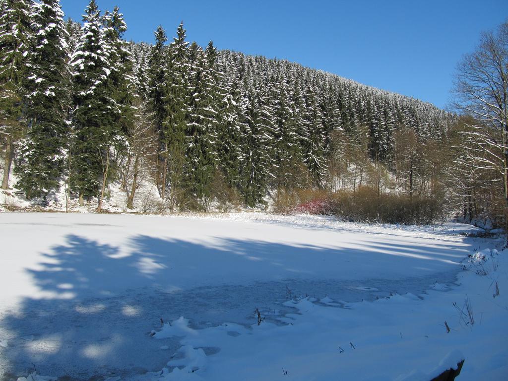 דירות Osterode am Harz Hexenstieg House Lerbach מראה חיצוני תמונה