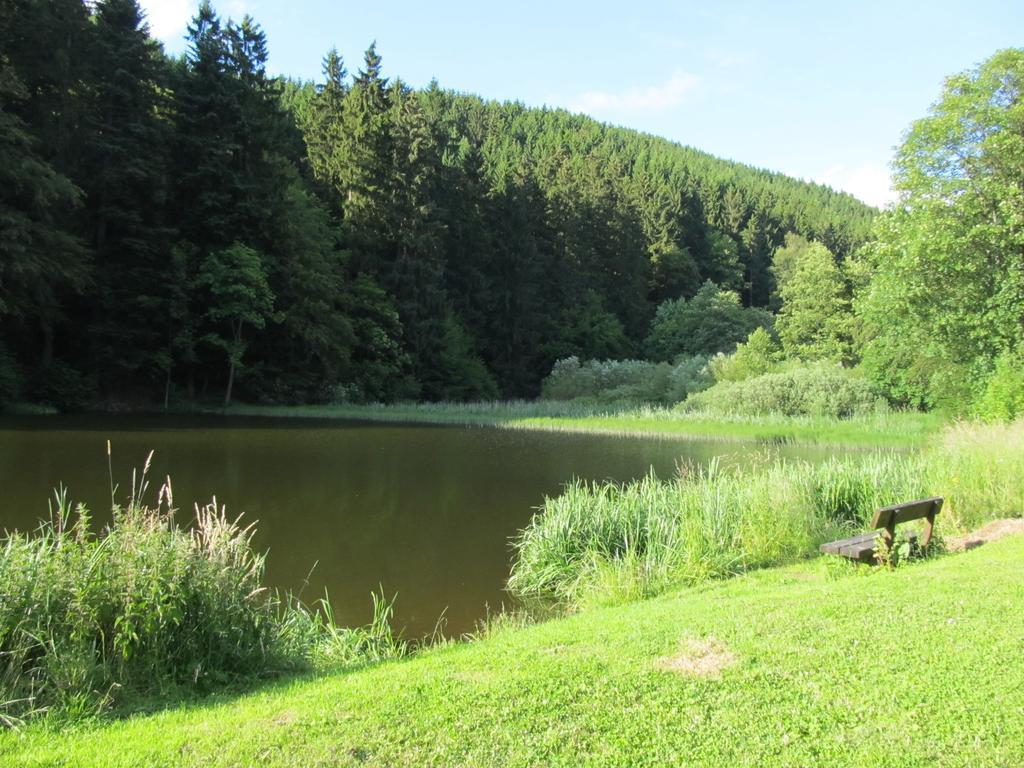 דירות Osterode am Harz Hexenstieg House Lerbach מראה חיצוני תמונה