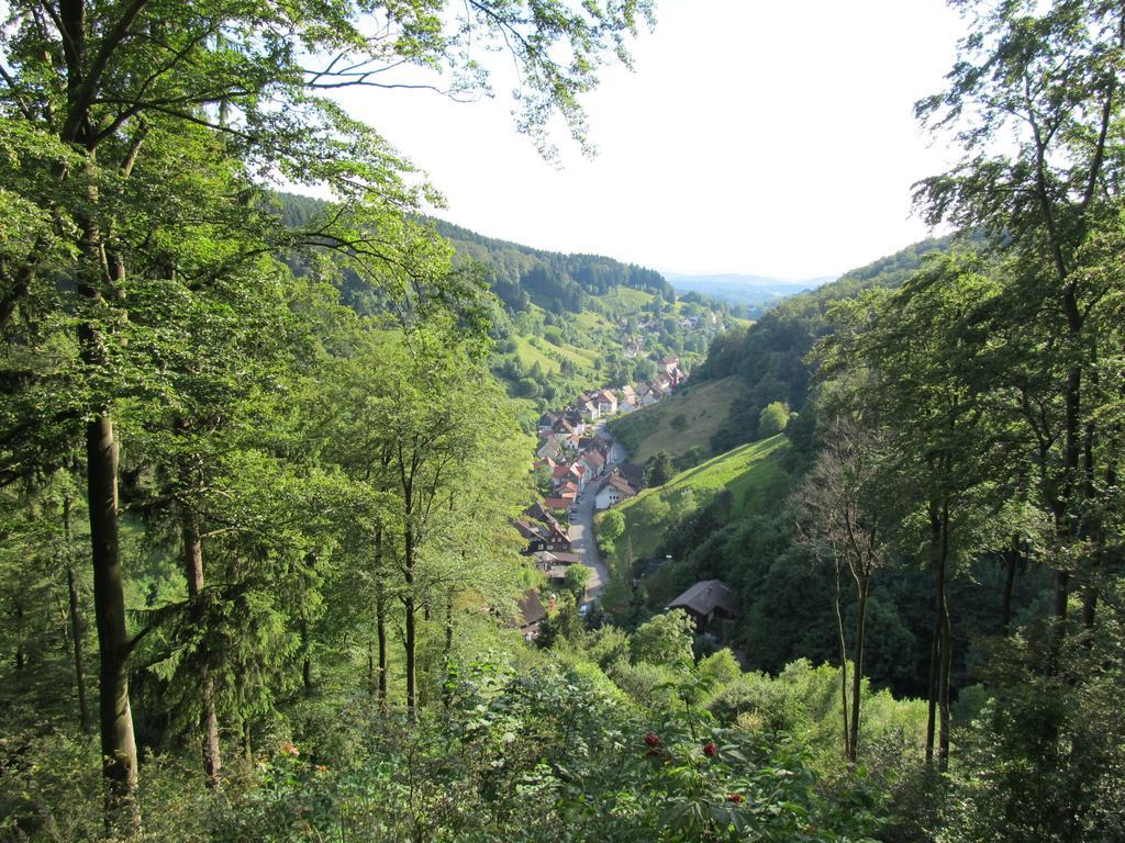 דירות Osterode am Harz Hexenstieg House Lerbach מראה חיצוני תמונה